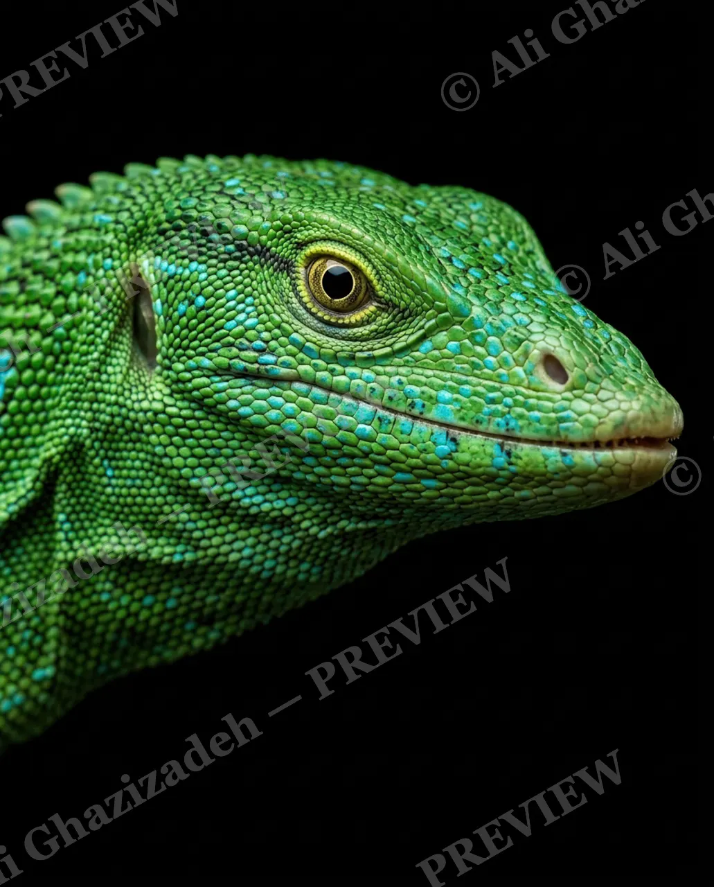 Scale of Colors — Turquoise Speckle — Green iguana artwork by Ali Ghazizadeh
