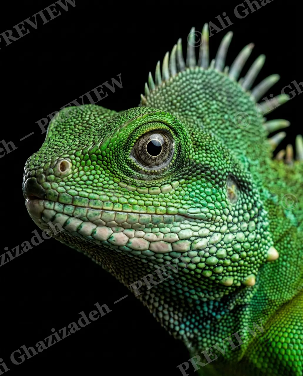 Scale of Colors — Verdant Crown — Green iguana artwork by Ali Ghazizadeh