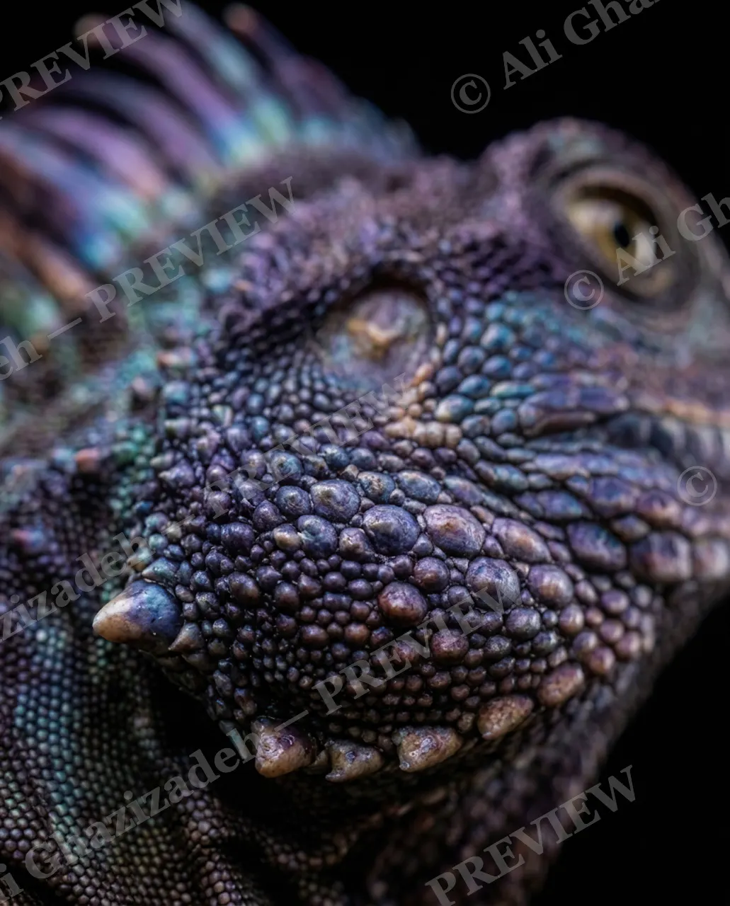 Scale of Colors — Violet Stone — Green iguana artwork by Ali Ghazizadeh