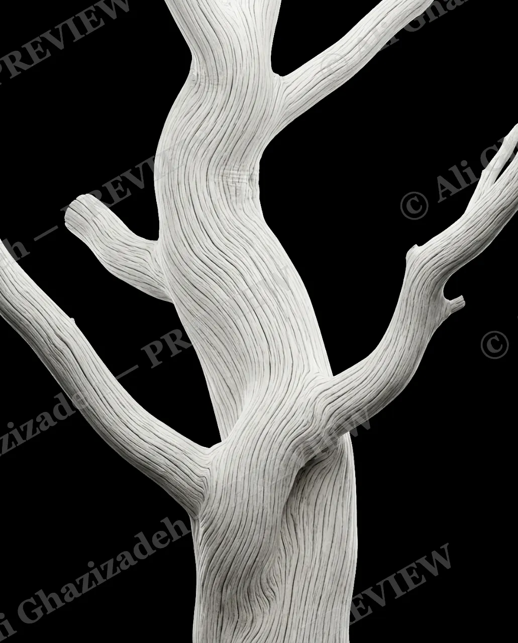 Nature's Paint Job — Bone White Limb — Tree bark artwork by Ali Ghazizadeh