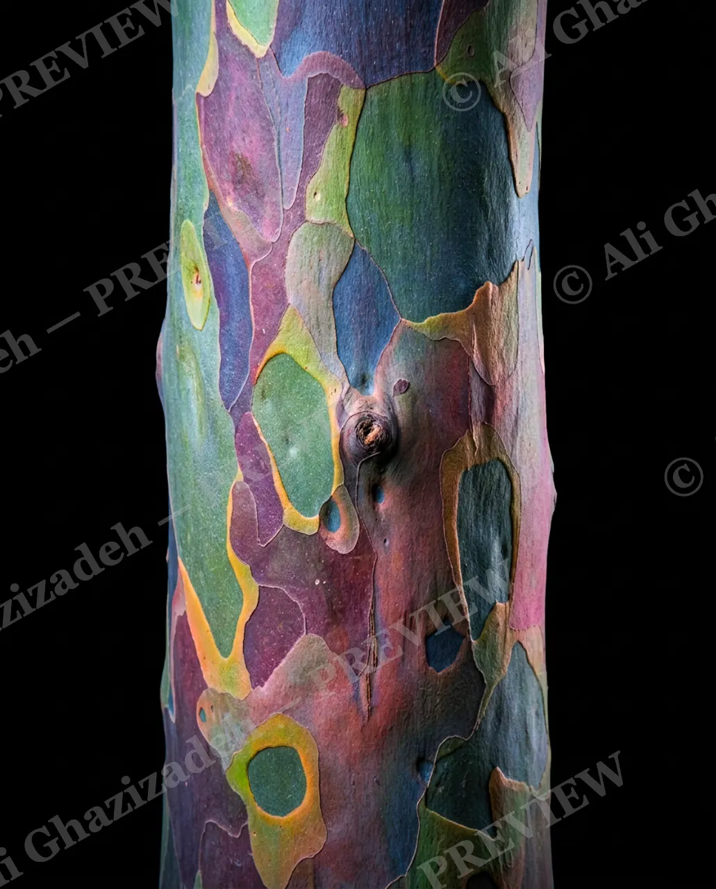 Nature's Paint Job — Patchwork Bark Mosaic — Tree bark artwork by Ali Ghazizadeh