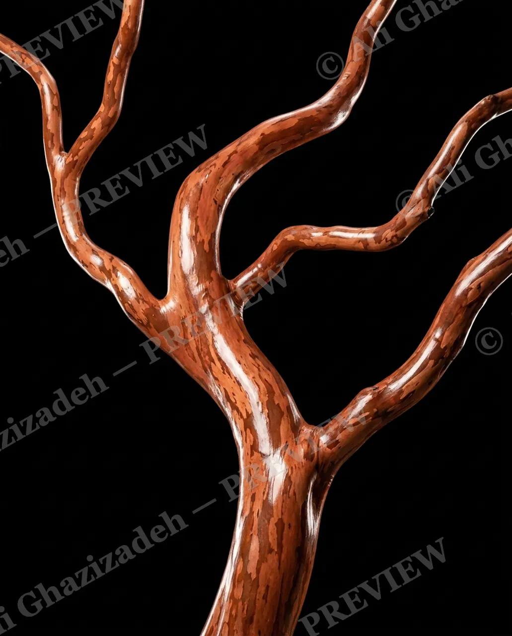 Nature's Paint Job — Polished Red Limb — Tree bark artwork by Ali Ghazizadeh