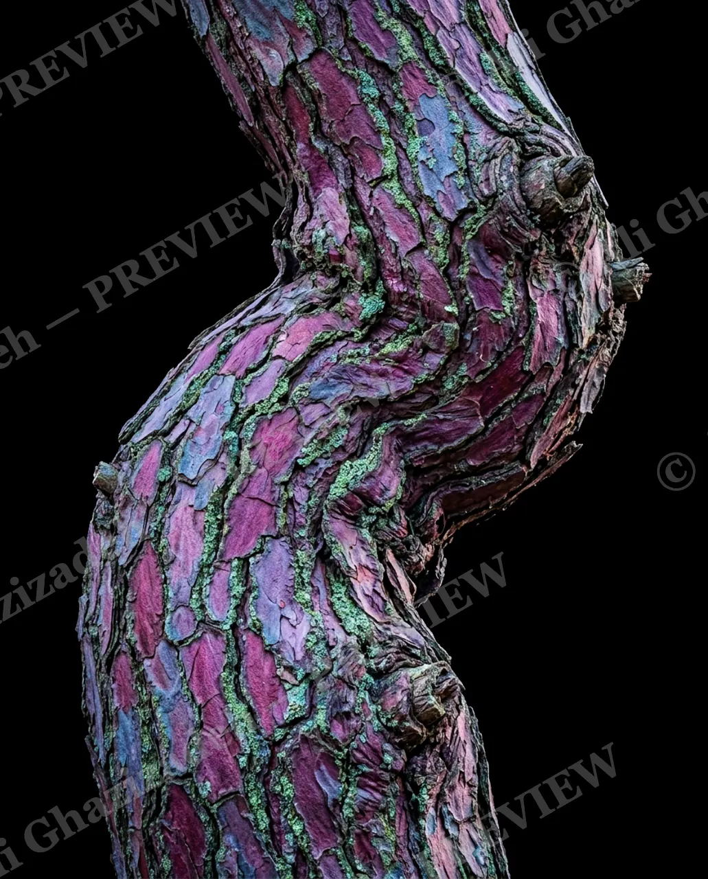 Nature's Paint Job — Twisting Colorful Trunk — Tree bark artwork by Ali Ghazizadeh