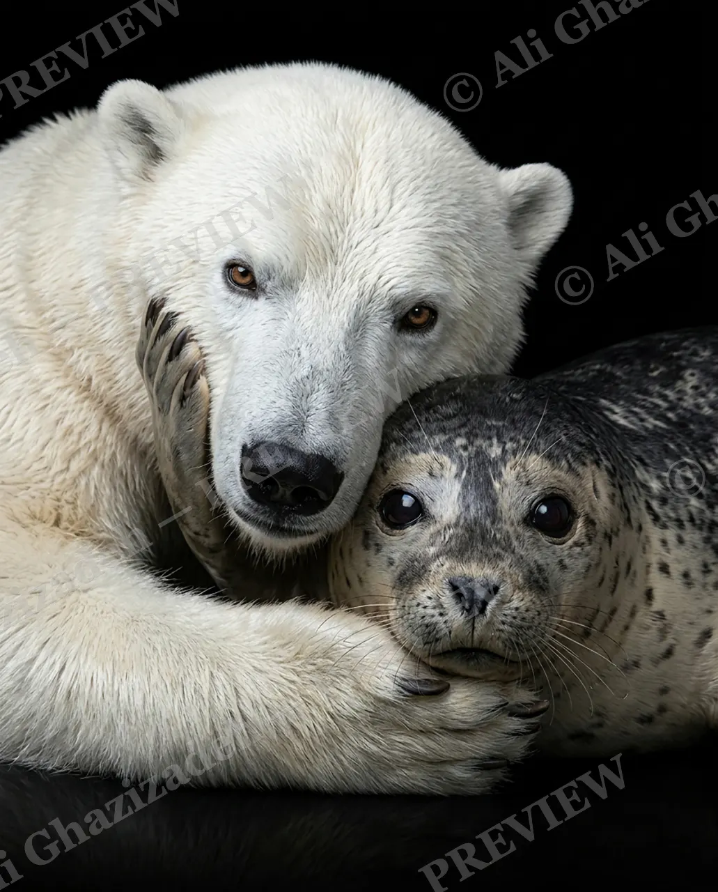 Off the Menu — Arctic Embrace — Lion artwork by Ali Ghazizadeh