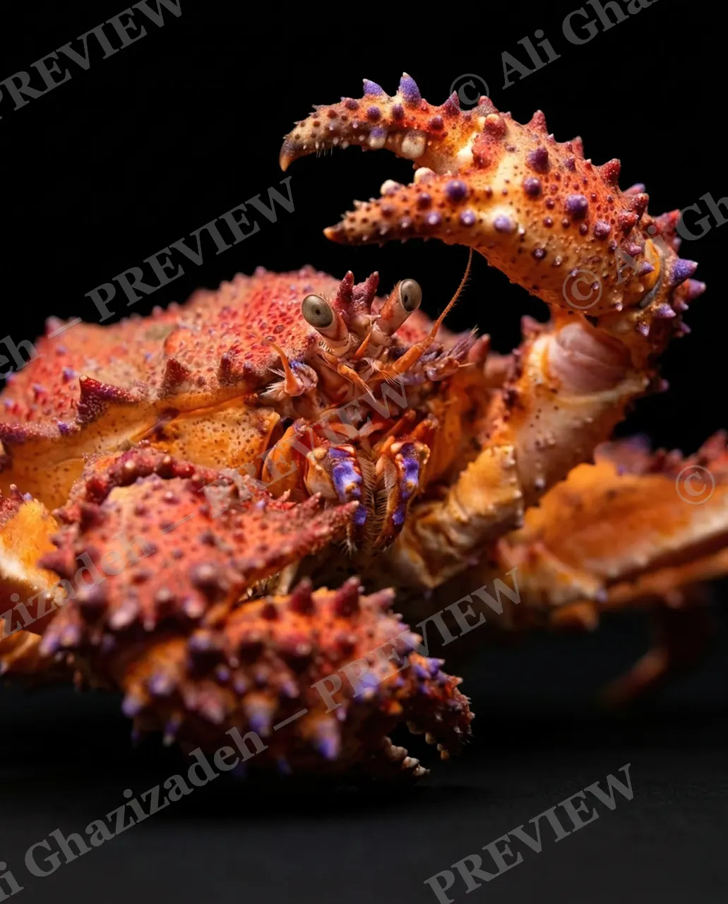 Pinch of Color — Amber Spike Crown — Crab artwork by Ali Ghazizadeh