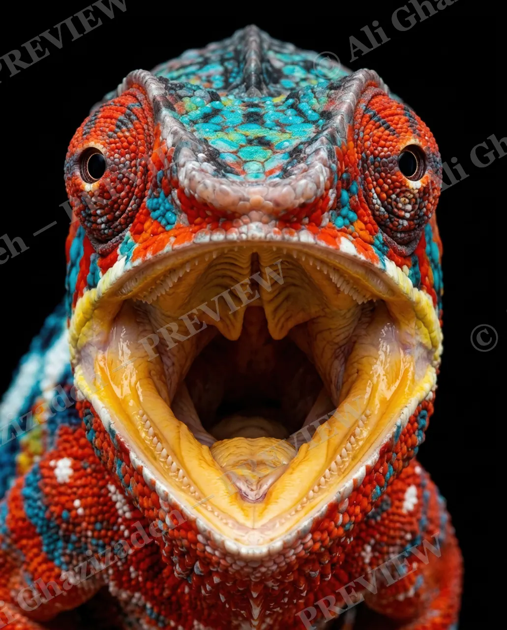 Rainbow Roar — Molten Roar — Panther chameleon artwork by Ali Ghazizadeh