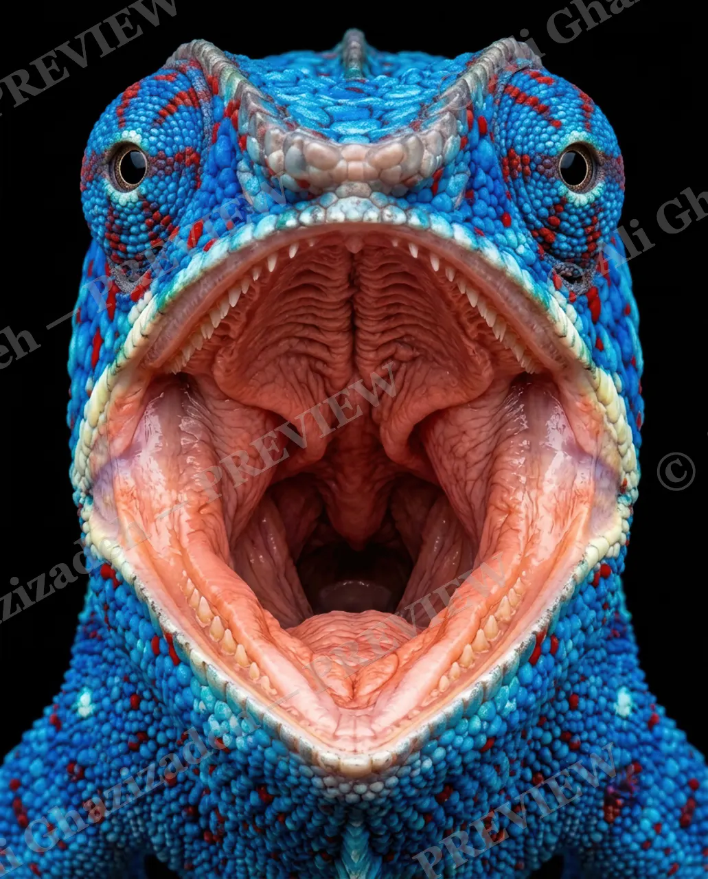 Rainbow Roar — Sapphire Shout — Panther chameleon artwork by Ali Ghazizadeh