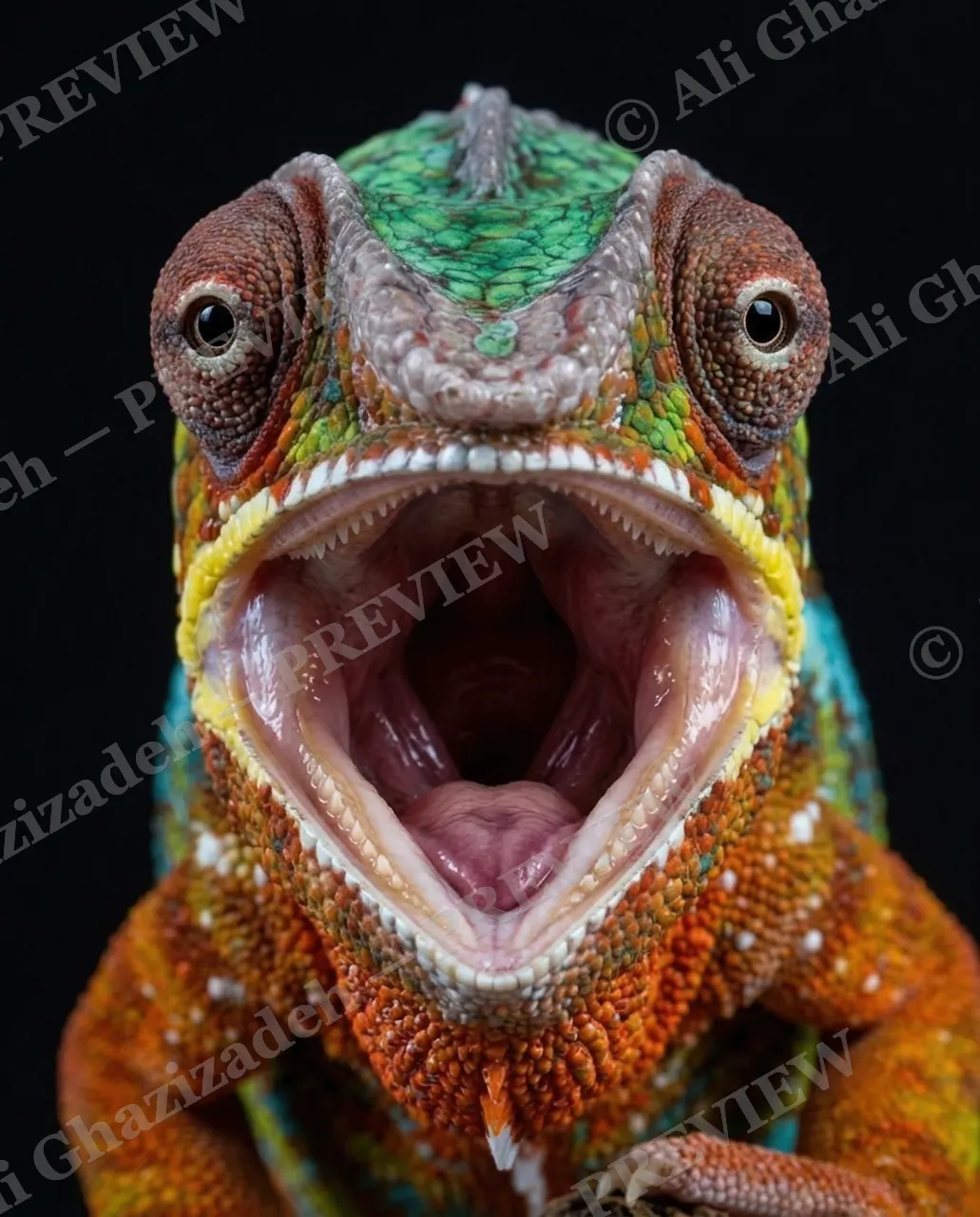 Rainbow Roar — Traffic Light Alert — Panther chameleon artwork by Ali Ghazizadeh
