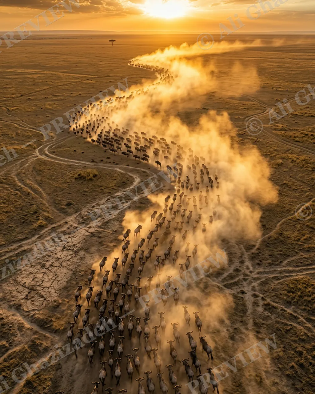Dust River — River of Dust — Blue wildebeest artwork by Ali Ghazizadeh