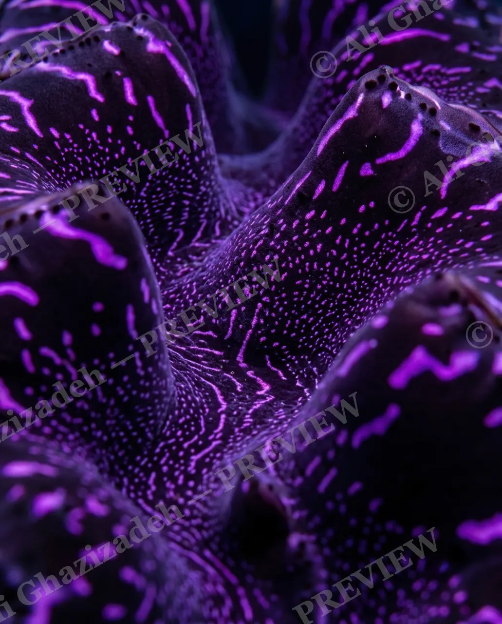 Shell Shock — Neon Purple Static — Giant clam artwork by Ali Ghazizadeh