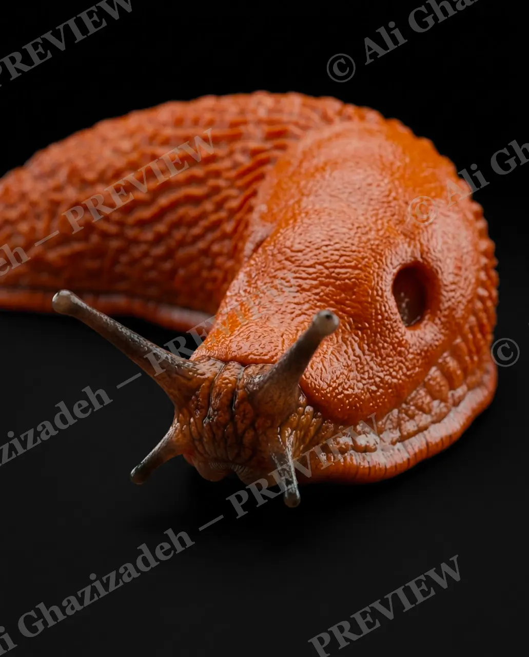 Slow Rainbow — Copper Curve — Slug artwork by Ali Ghazizadeh