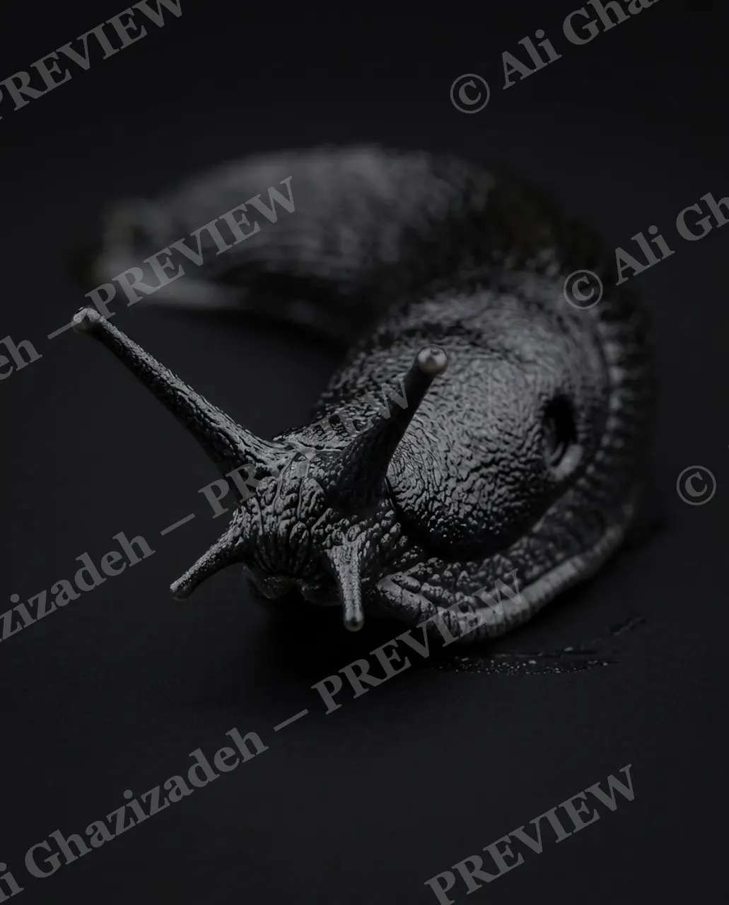 Slow Rainbow — Shadow Black — Slug artwork by Ali Ghazizadeh