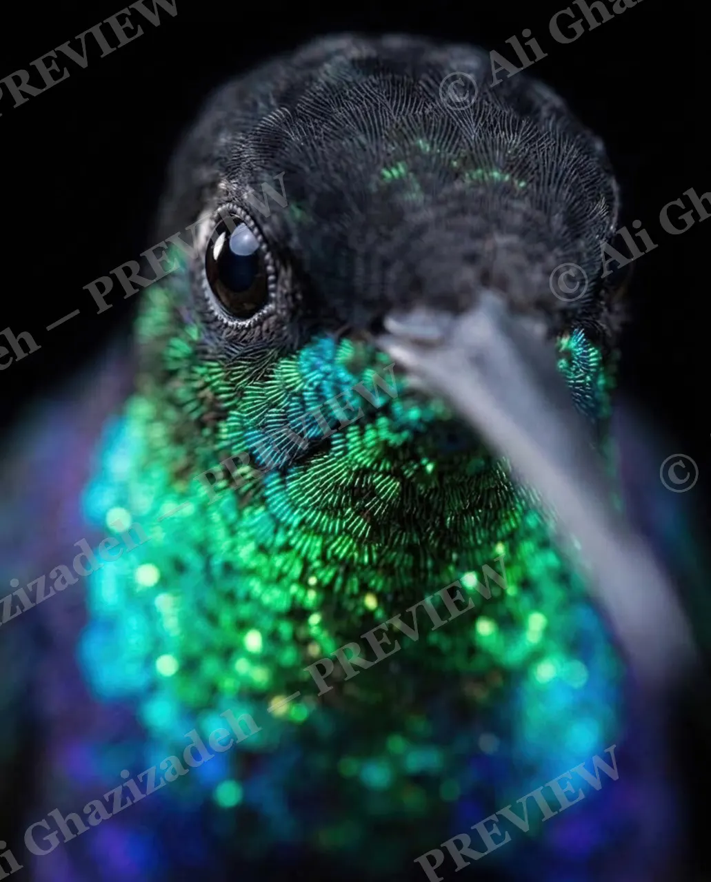 Small Judgments — Emerald Stare — Hummingbird artwork by Ali Ghazizadeh