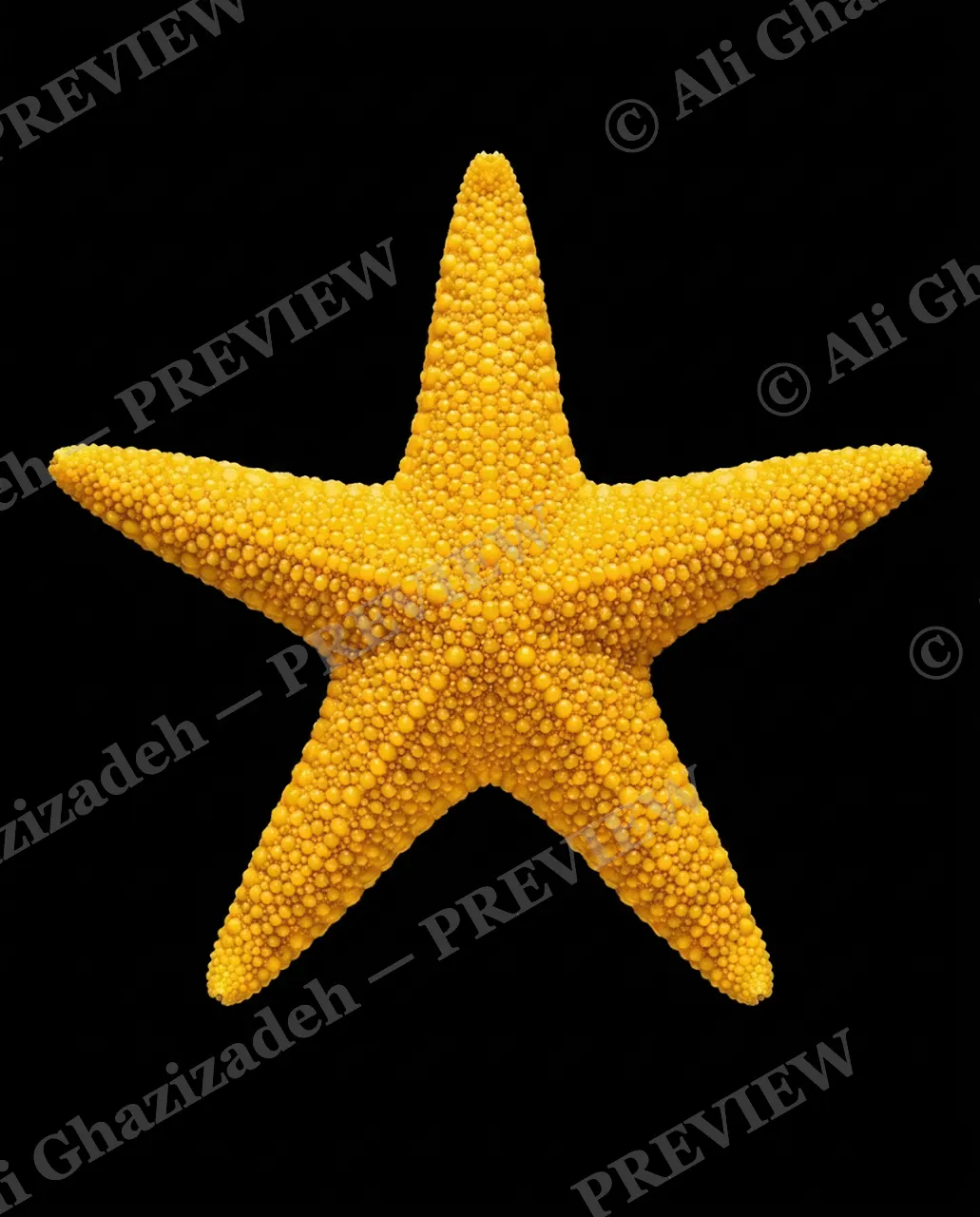 Star Search — Classic Gold — Starfish artwork by Ali Ghazizadeh