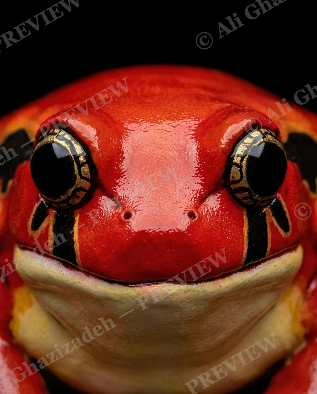 The Usual Suspects — Fire Mask — Frog artwork by Ali Ghazizadeh