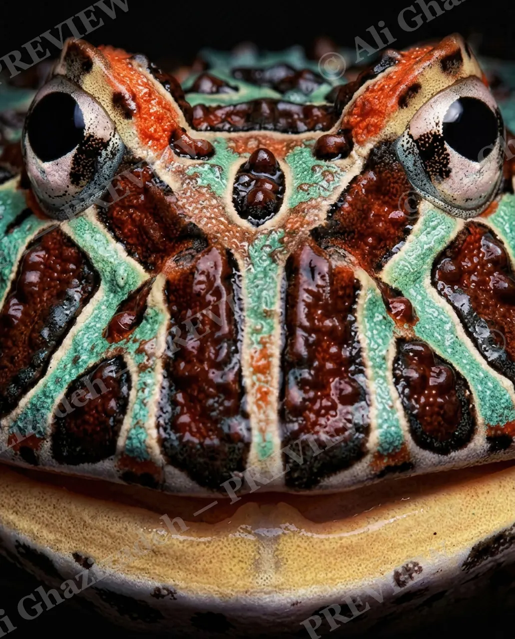 The Usual Suspects — Tribal Mask — Frog artwork by Ali Ghazizadeh