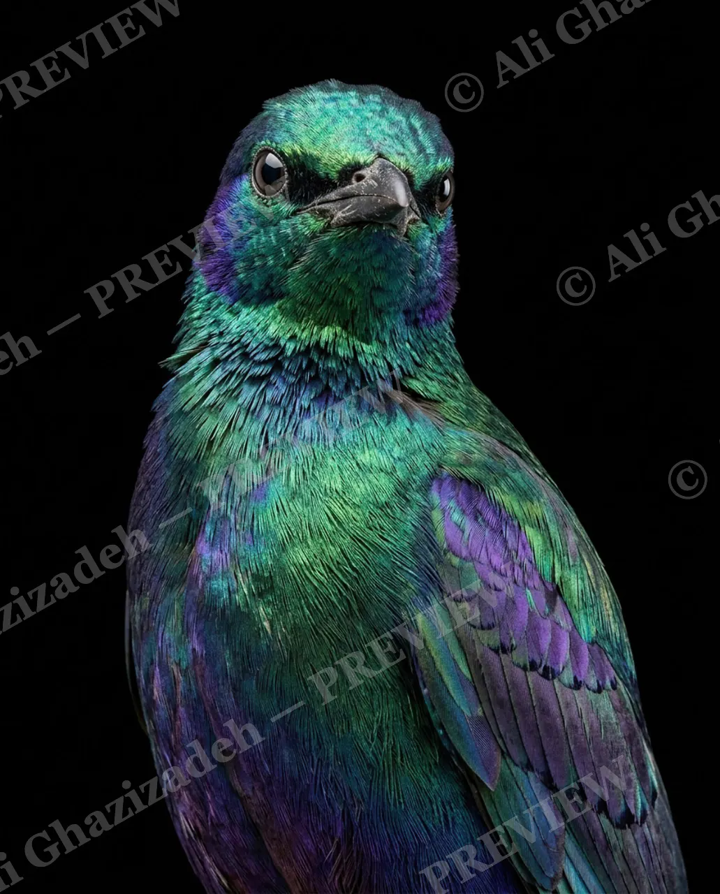 Trick of the Light — Straight-On and Green — Starling artwork by Ali Ghazizadeh