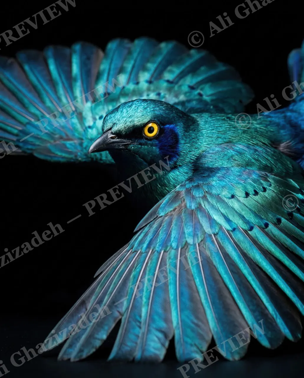 Trick of the Light — Turquoise in Flight — Starling artwork by Ali Ghazizadeh