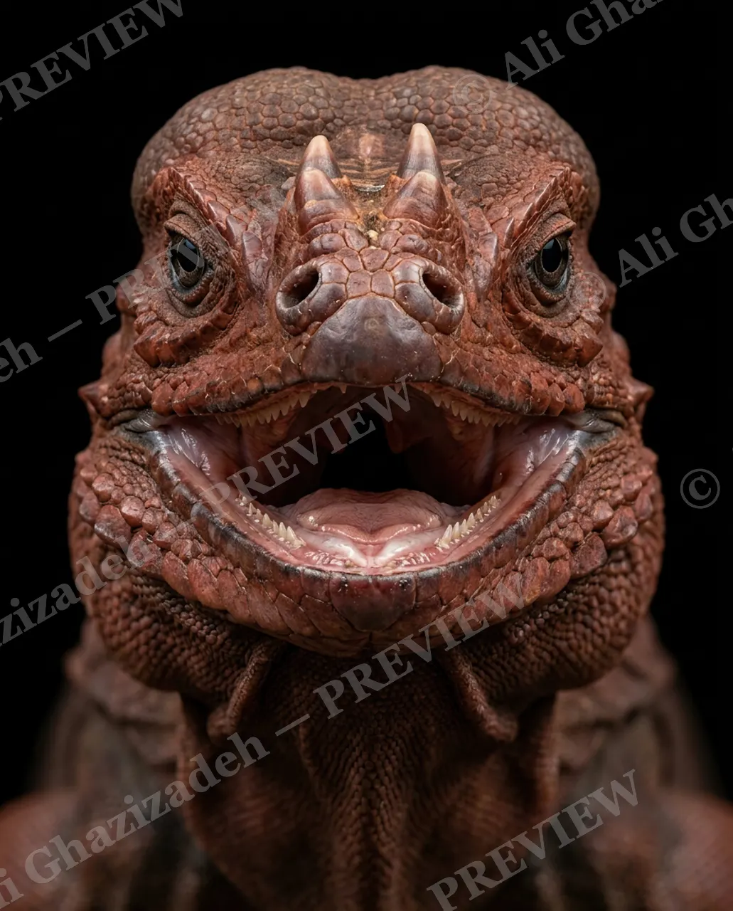 Not a Chameleon — Baring Teeth — Marine iguana artwork by Ali Ghazizadeh