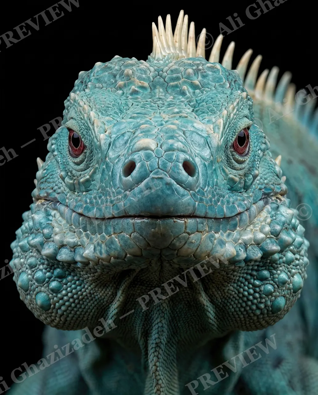 Not a Chameleon — Teal and Fierce — Marine iguana artwork by Ali Ghazizadeh