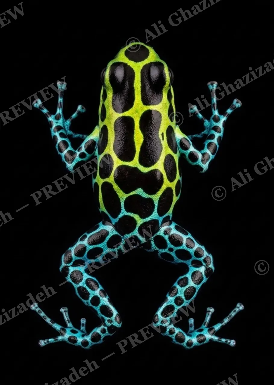 Warning Labels — Electric Lime — Poison dart frog artwork by Ali Ghazizadeh